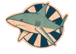 Wood Sticker - Shark